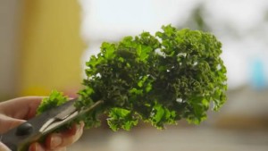 Kale